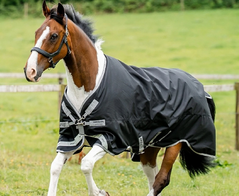 Best Equine Horse Blankets light weight and heavy weight
